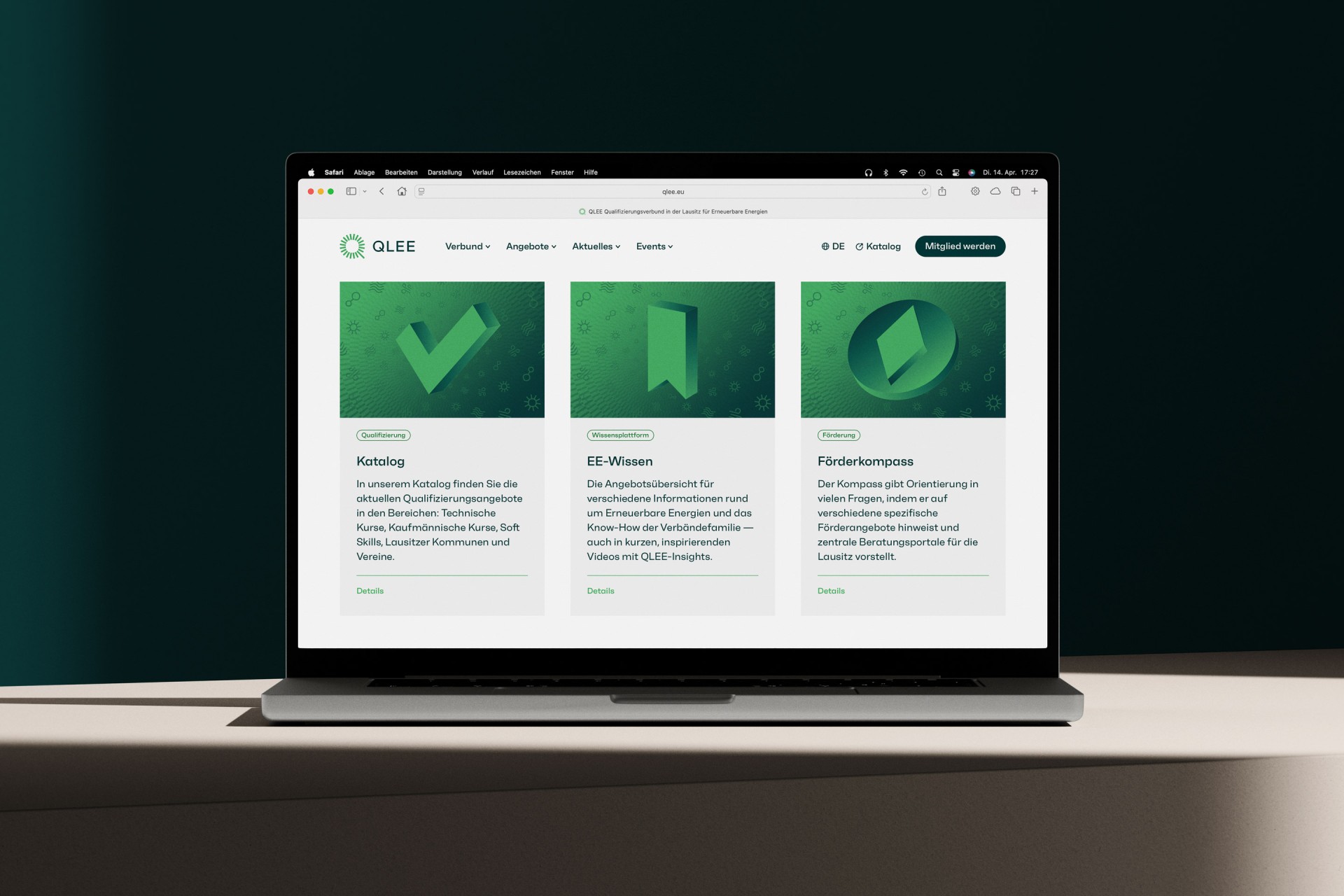 Desktop-Ansicht des Angebotsbereichs der QLEE-Website mit klar gegliederten Themenzugängen.